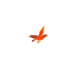 uccellino